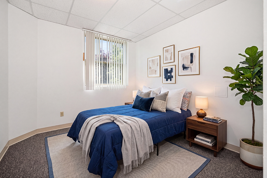 Cozy bedroom with blue bedding and decorative art.