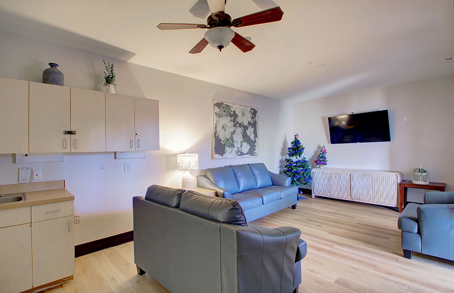 Cozy living room with modern furnishings and a Christmas tree.