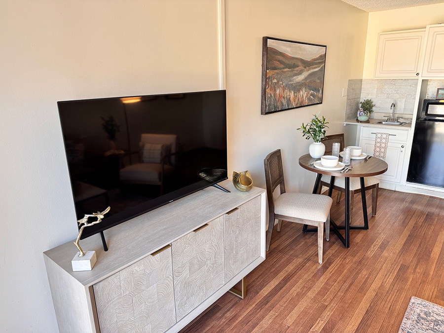 Modern living space with a TV, dining area, and decor.