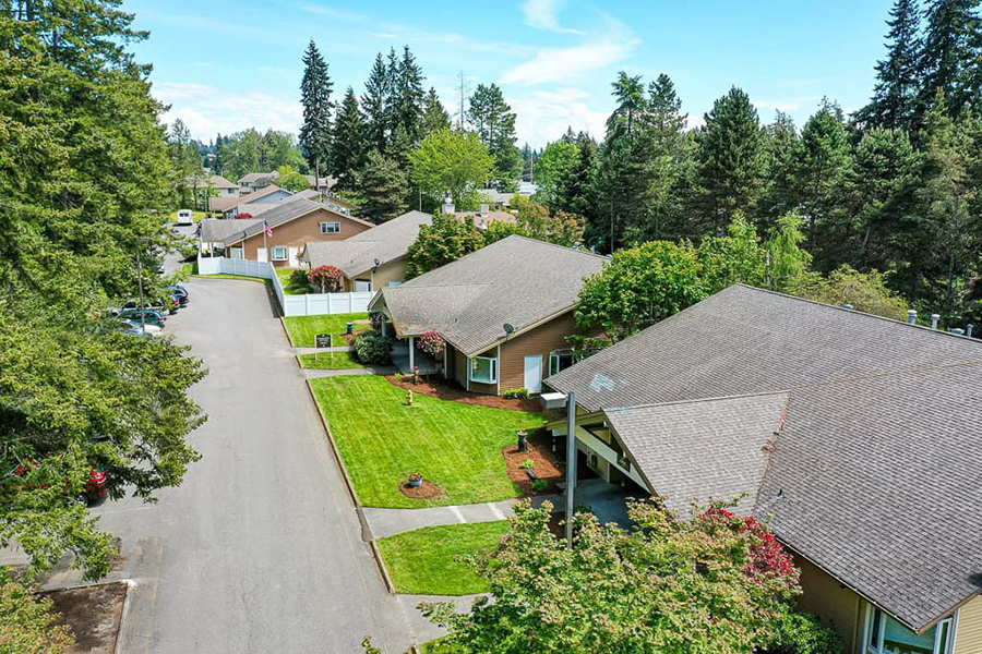 Residential neighborhood surrounded by trees and greenery.