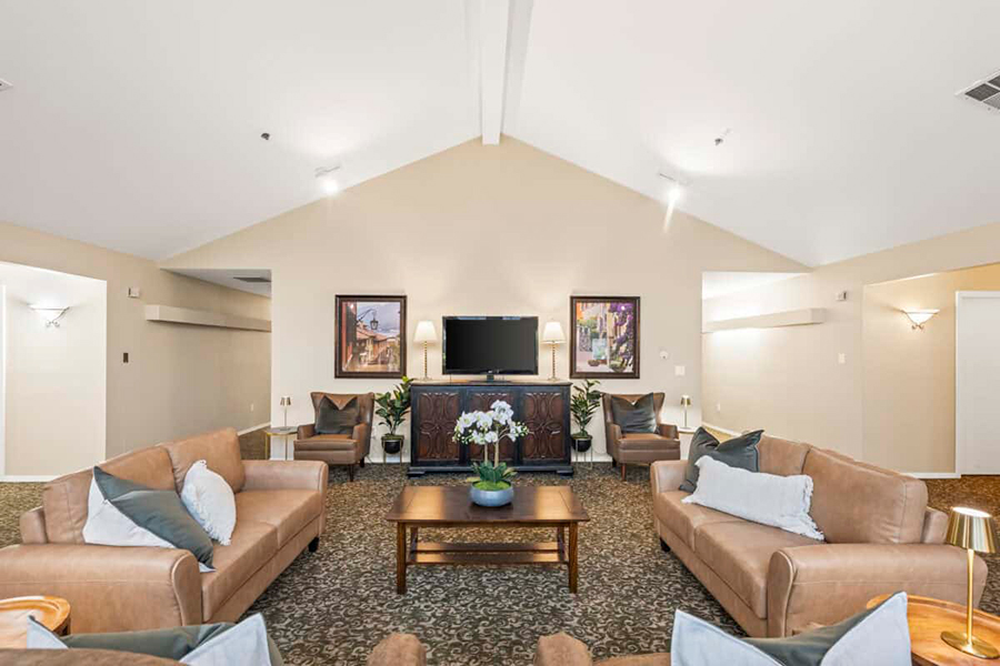 Cozy living area with leather sofas and decorative plants.