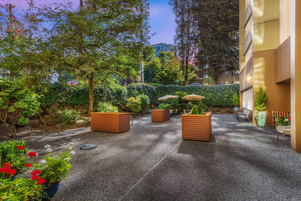 Urban garden with planters, seating, and trees.