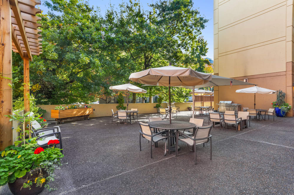 Outdoor seating area with umbrellas and greenery.