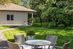 Sunny backyard with seating, grass, and lush greenery.