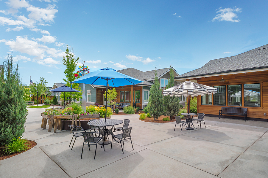 Sunny outdoor seating area with umbrellas and greenery.