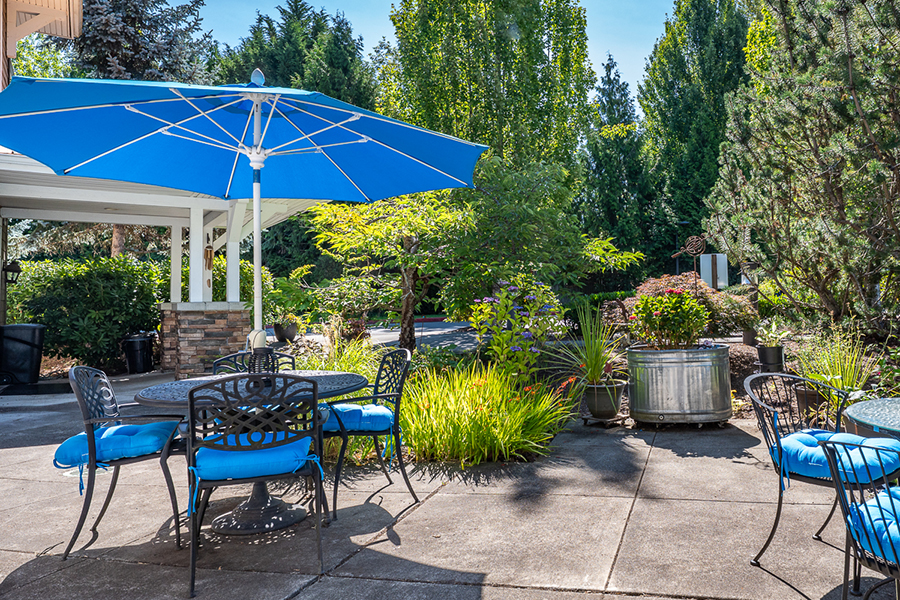 Sunny outdoor patio with blue umbrella and vibrant greenery.