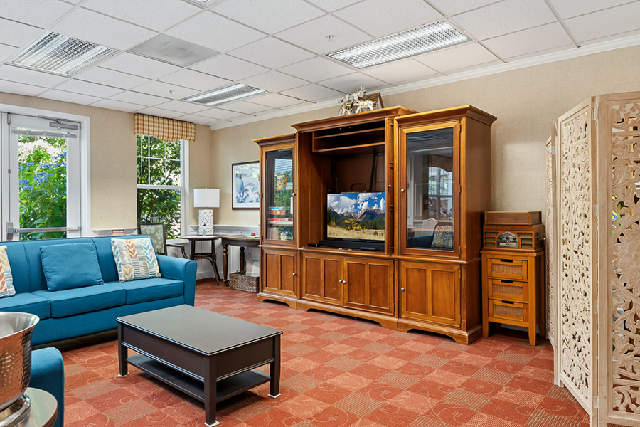 Cozy living room with furniture and a television unit.