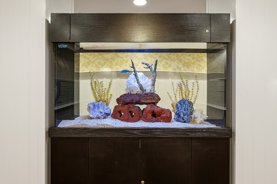 A large aquarium with colorful rocks and aquatic plants.