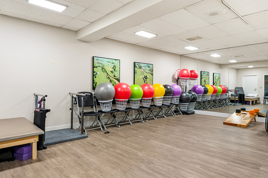 Exercise room with colorful exercise balls and equipment.