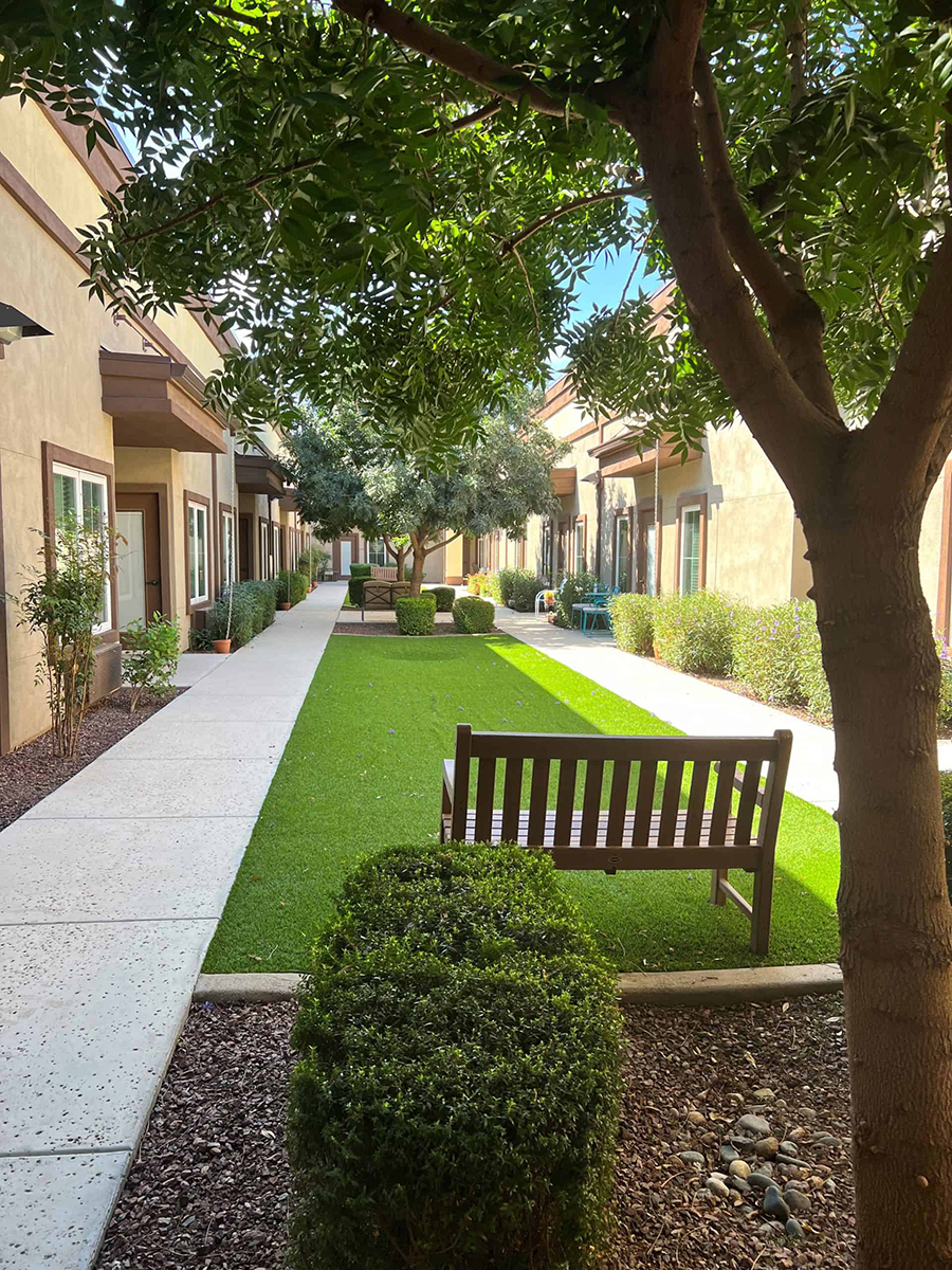Lush courtyard with benches, green grass, and shaded pathways.