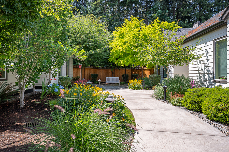 Lush garden pathway surrounded by trees and colorful flowers.