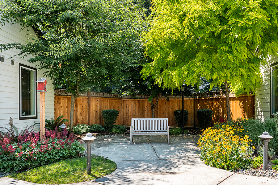 Lush garden with bench surrounded by vibrant flowers and trees.