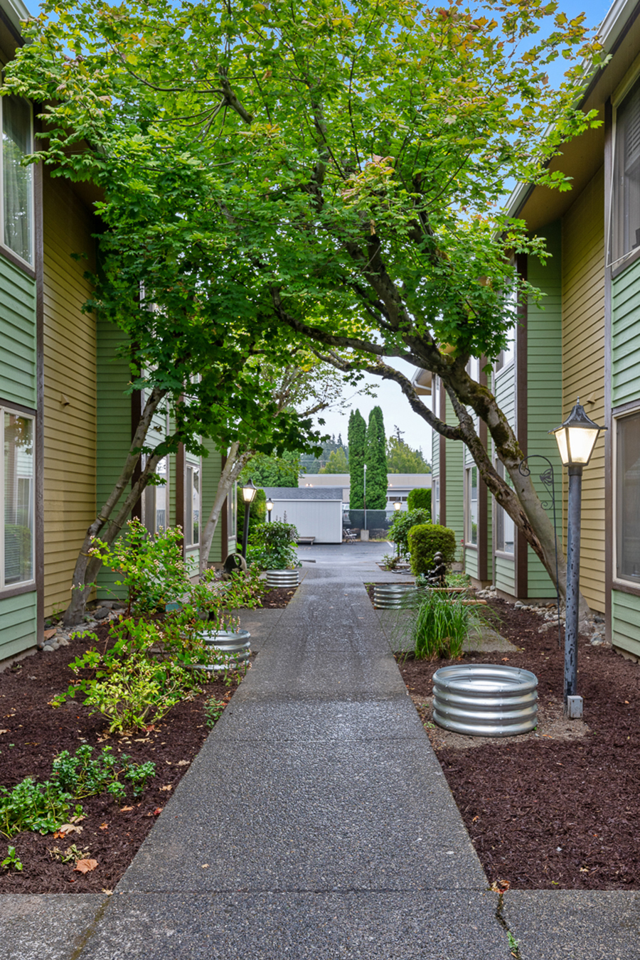 Pathway lined with greenery and colorful apartment buildings.