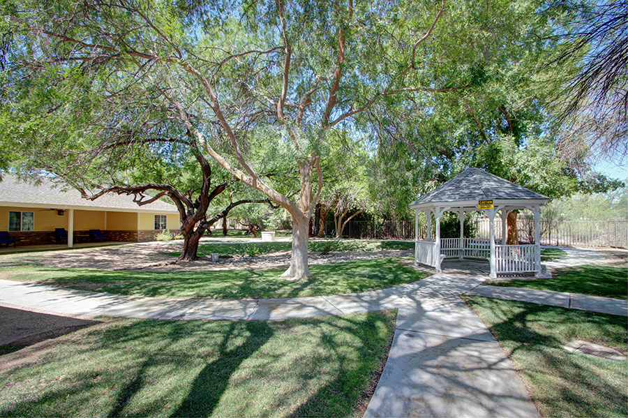 Lush garden with gazebo and pathway, peaceful outdoor setting.