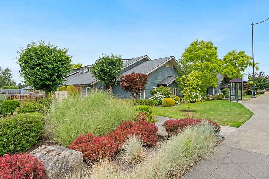 Charming neighborhood with well-kept greenery and modern homes.