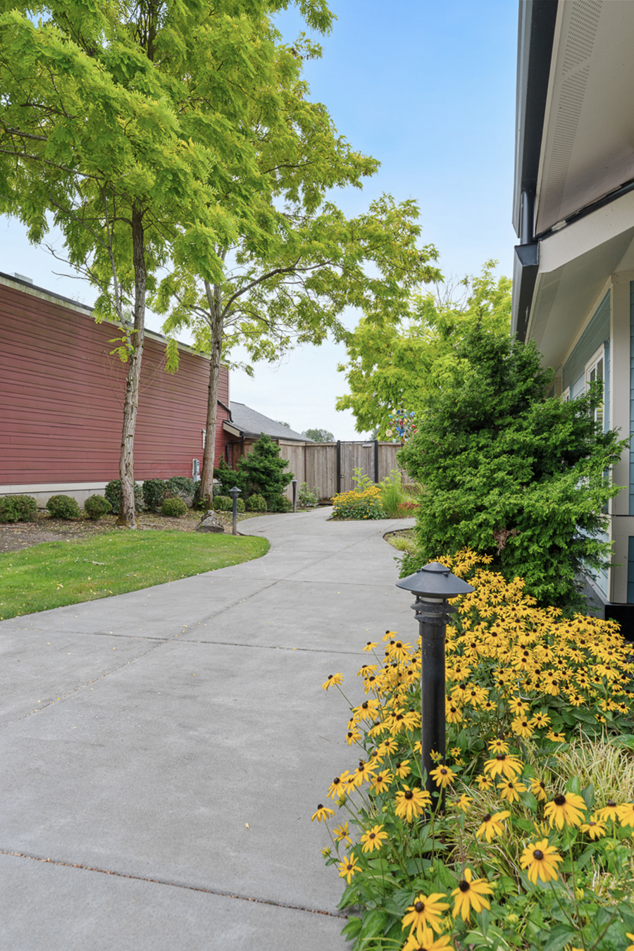 Pathway surrounded by trees and yellow flowers on sunny day.