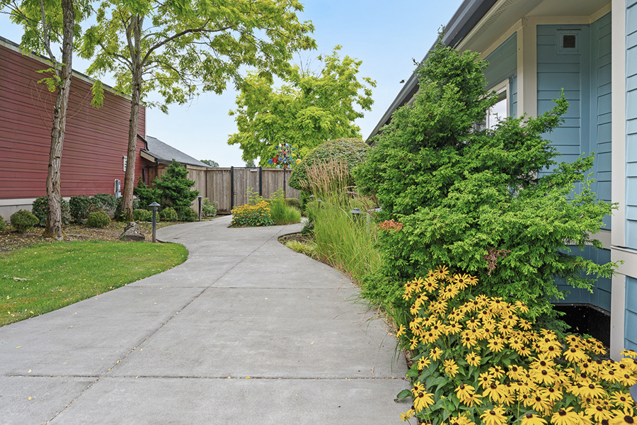 Pathway lined with greenery and colorful flowers.