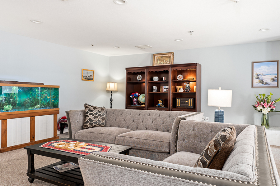 Cozy living room with aquarium, bookshelves, and comfortable seating.