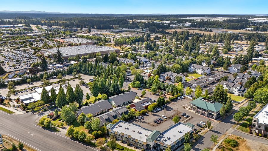 Aerial view of a suburban area with buildings and greenery.