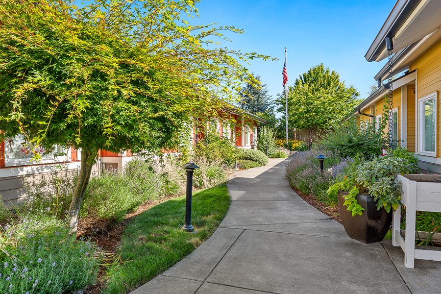Lush pathway lined with plants and colorful buildings.