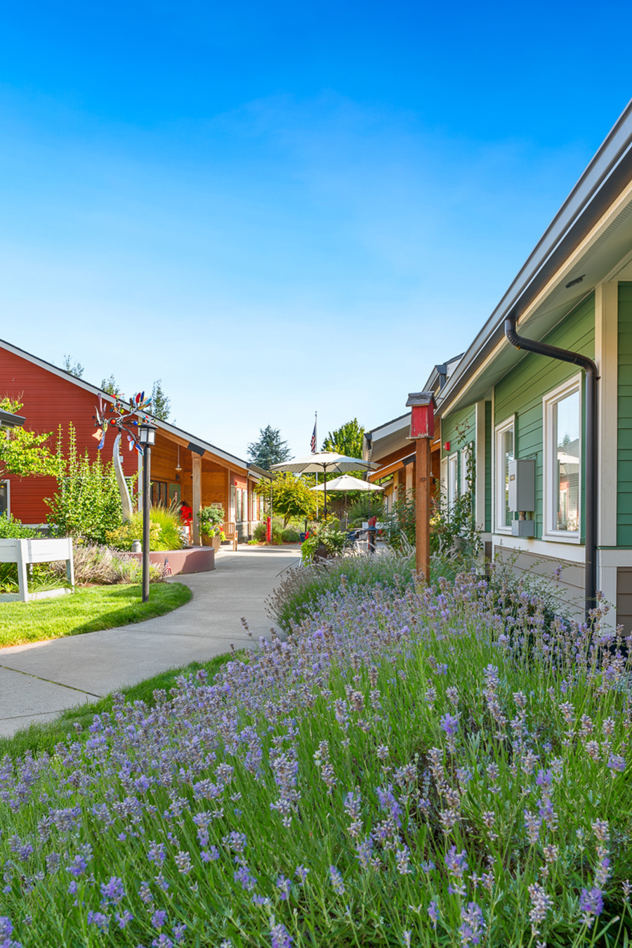 Colorful houses with lavender garden under a clear blue sky.