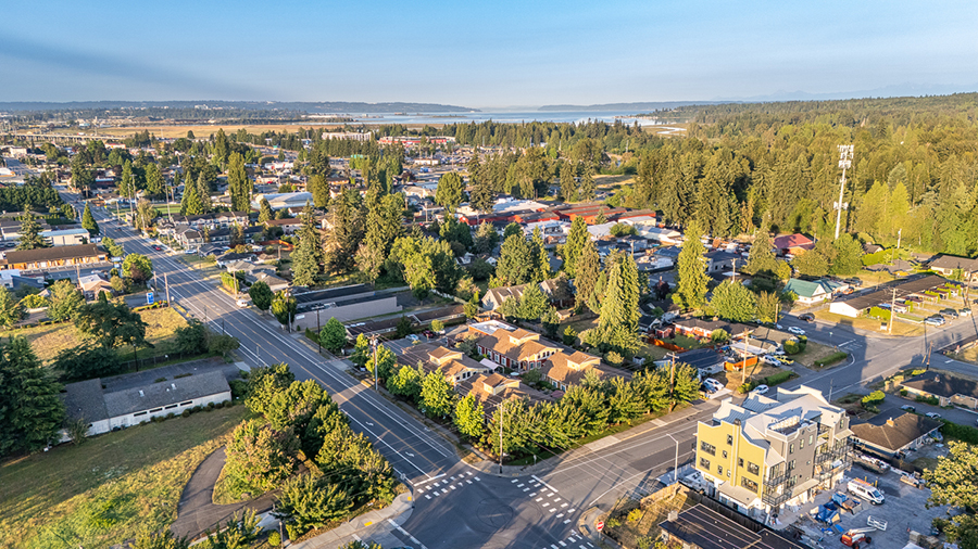 Aerial view of a small town surrounded by greenery.
