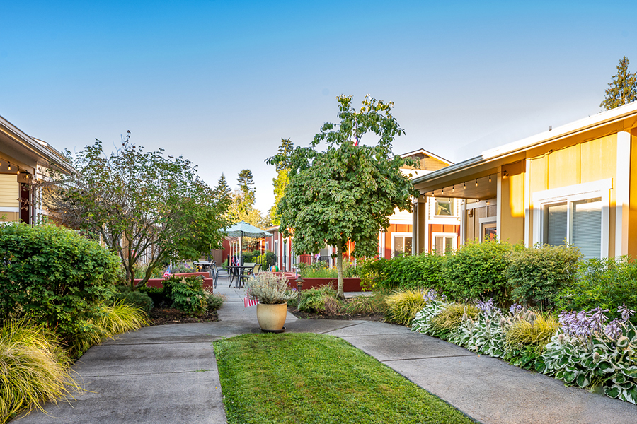 Colorful pathway surrounded by lush greenery and houses.