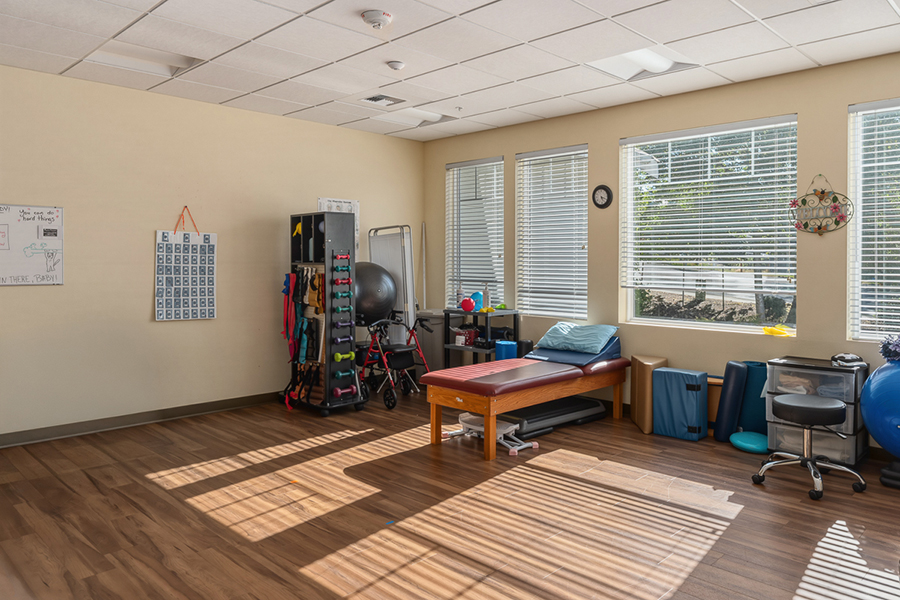 Bright therapy room with equipment and large windows.