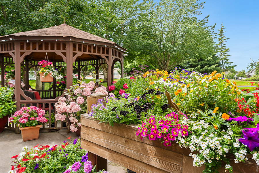 Flower-filled garden with a gazebo in a sunny setting.