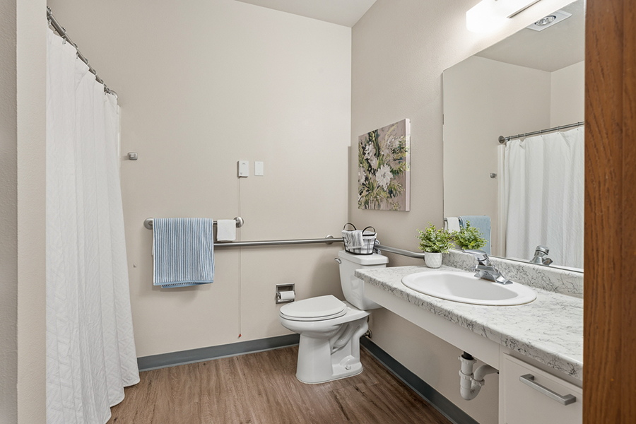 Clean bathroom with shower, sink, and decorative elements.
