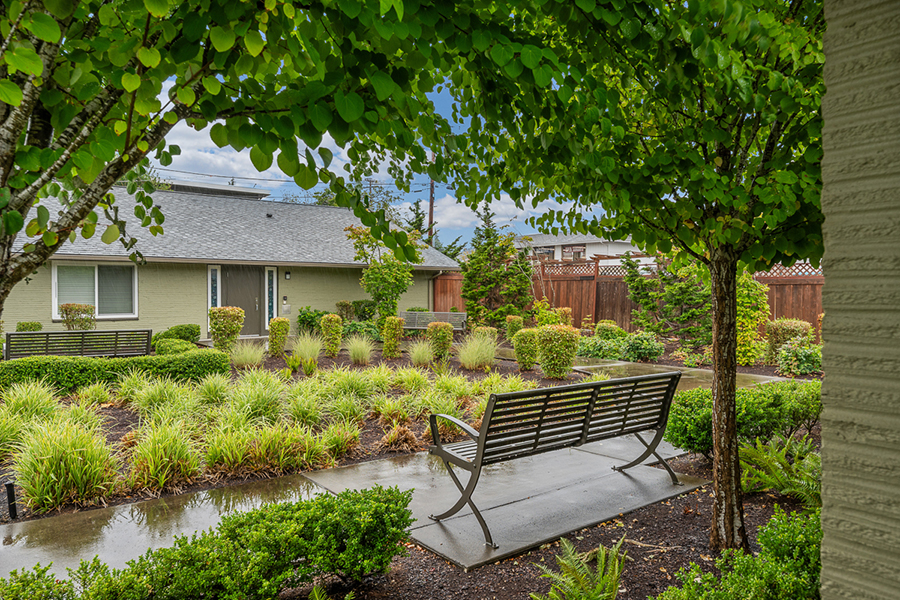 Lush garden with benches and a cozy house background.
