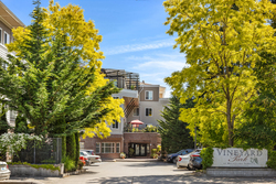 Vibrant trees framing a welcoming entrance to a building.